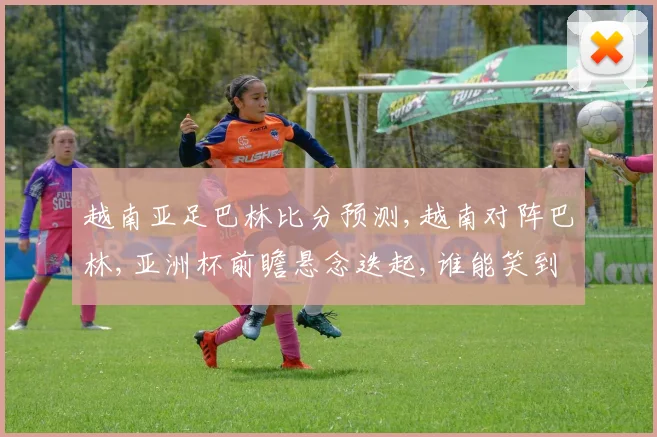 越南亚足巴林比分预测,越南对阵巴林,亚洲杯前瞻悬念迭起,谁能笑到最后