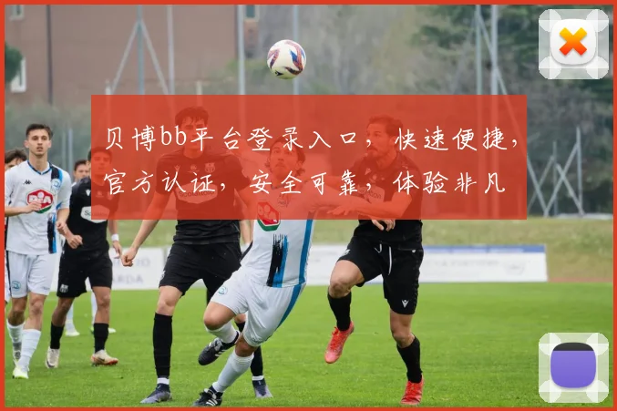 贝博bb平台登录入口，快速便捷，官方认证，安全可靠，体验非凡