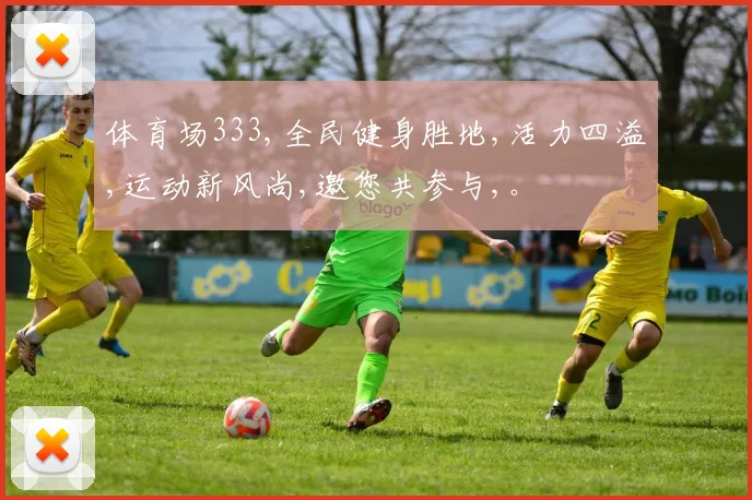 体育场333,全民健身胜地,活力四溢,运动新风尚,邀您共参与,。